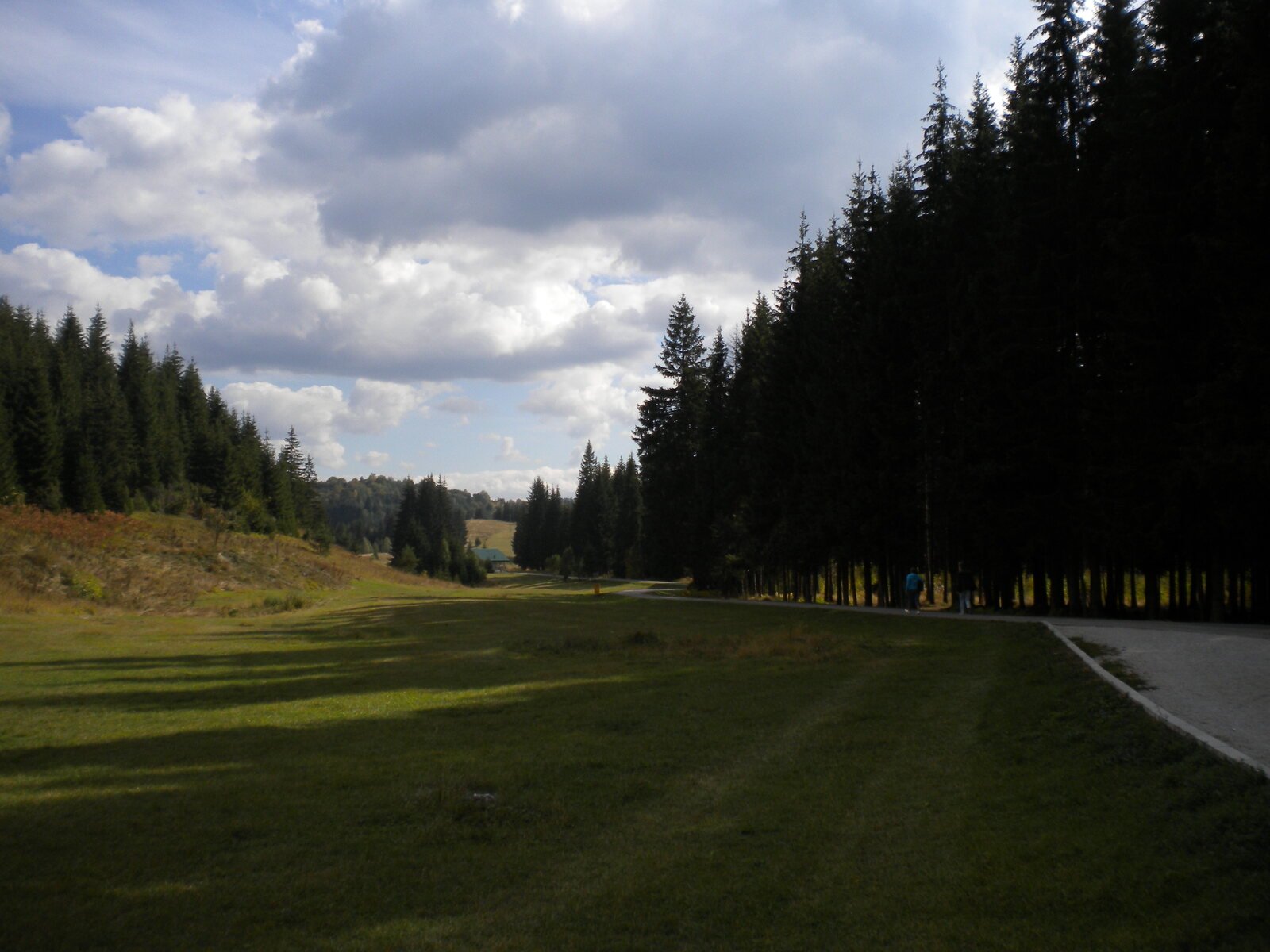 Bijambare · Into the protected forest