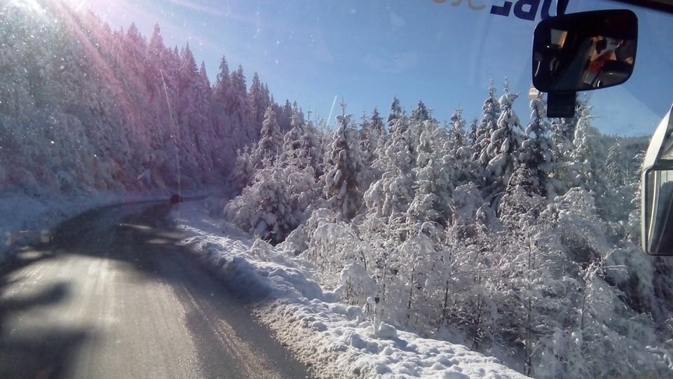 Jahorina · A winter road through the forest