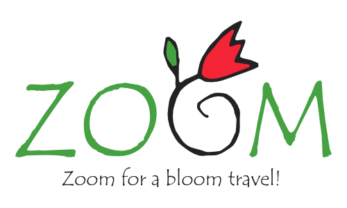 Zoom Travel